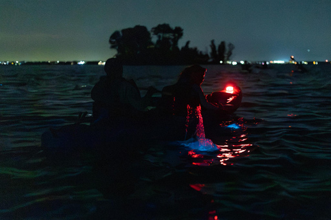 Cocoa Beach/Merritt Island:Bioluminescent kayak tour Single Kayak