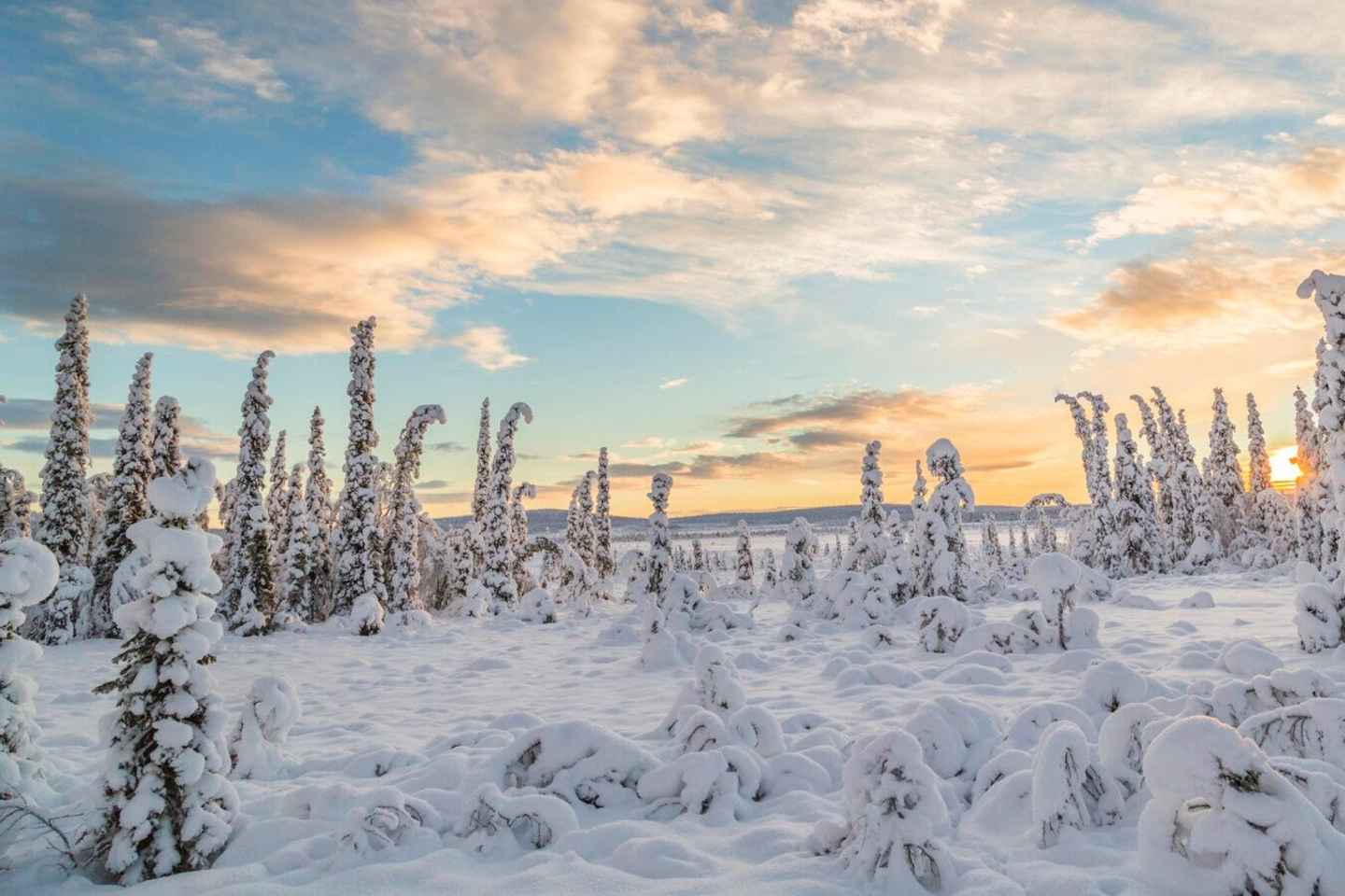 Kiruna: Schneemobil-Tour am Tag in Kleingruppe in Schwedisch-Lappland