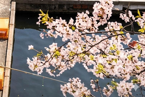 Tokyo: Fishing Experience