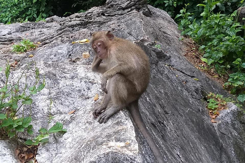 Phuket: Bamboo Rafting, ATV Ride, & Turtle Center Tour