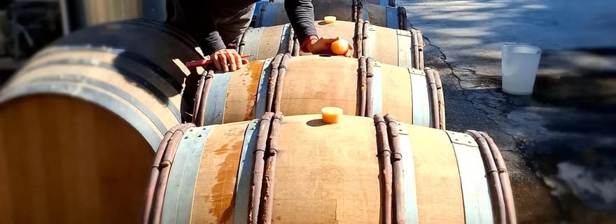 Alpilles : Découverte à vélo électrique de domaines viticoles et de fermes