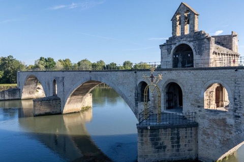 Avignon: Palace of the Popes & Avignon Bridge Entry