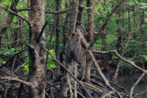 Langkawi Jet Ski Mangrove Tour Tanjung Rhu and Kilim