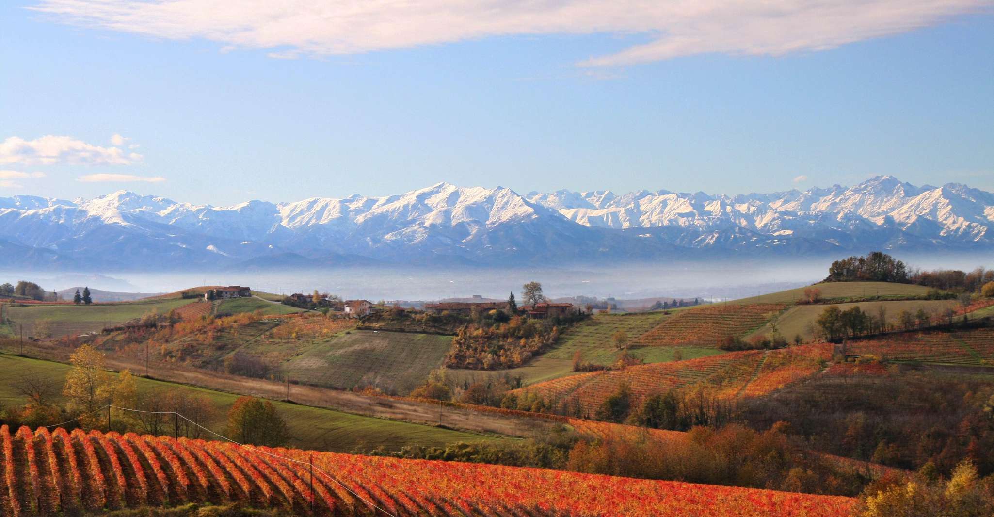 Visita guidata e Degustazione vini Monforte d'Alba