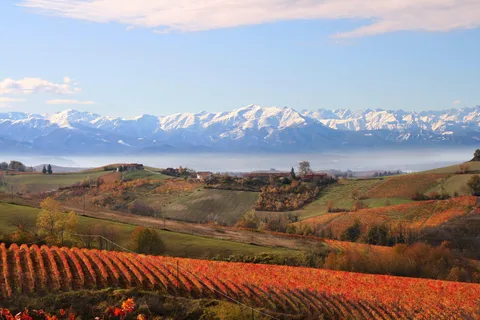 Rondleiding en proeverij Monforte d'Alba
