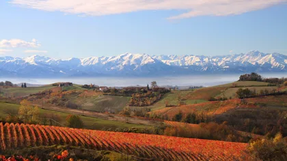Geführter Besuch und Verkostung von Wein in Monforte d