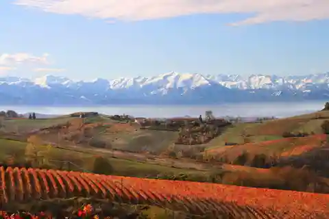 Monforte d'Alba: Indringende wijnmakerij tour