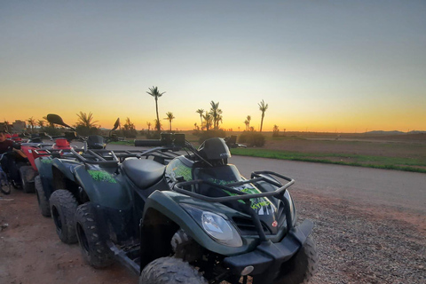 Tour Quad Bike in Marrakech Palm