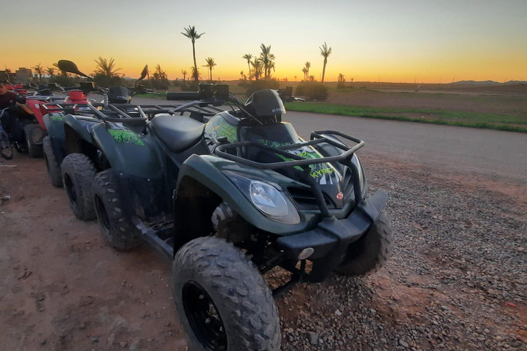 Tour quad in de palm van Marrakech