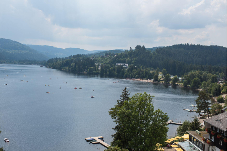 Zürich:privétour met de auto - Rijnwaterval, Titisee & Zwarte Woud