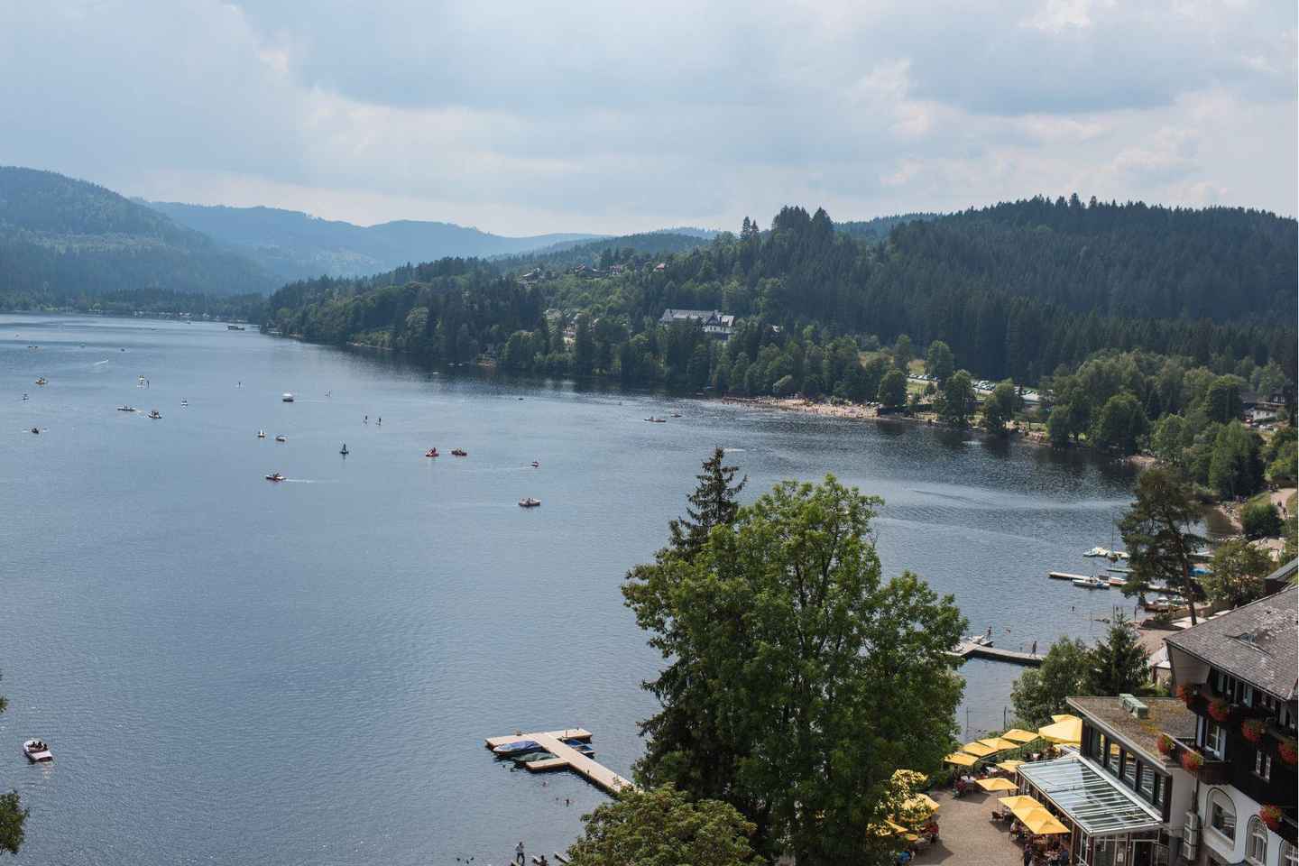 Zúrich: Tour en Auto Privado - Cataratas del Rin, Titisee y Selva Negra