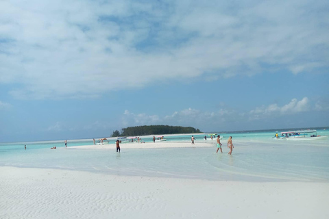 Excursão de meio dia aos golfinhos e mergulho com snorkel em Mnemba (viagem compartilhada)