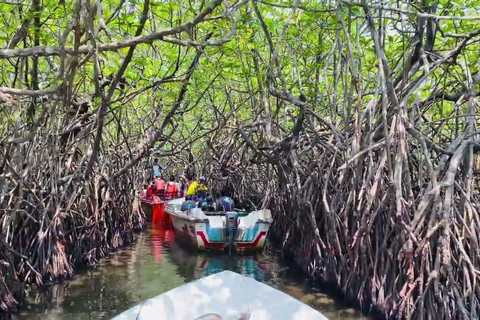 Sri Lanaka : Excursión de 2 días con Hikkaduwa / Galle / Yala