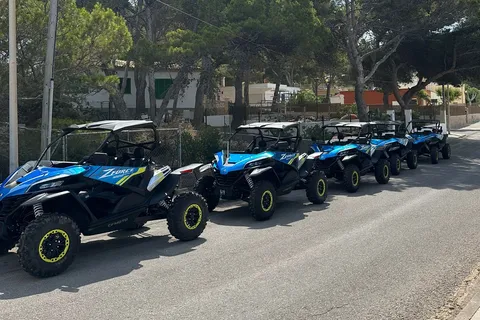 Paguera: Malgrats Island and Sant Elm Buggy Tour