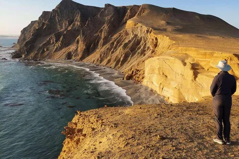 From Paracas: Private Tour Paracas National Reserve
