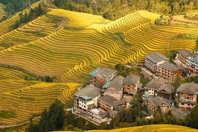 Longji Rice Terraces & Yao Village Experience from Guilin English-speaking guide service