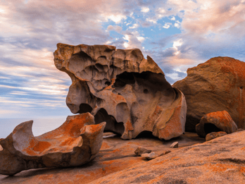 A partir de Adelaide: Tour épico de 2 dias em pequenos grupos pela Ilha Kangaroo