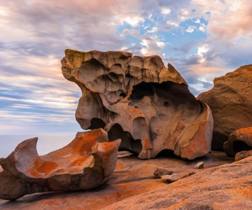 From Adelaide: Kangaroo Island 2-Day Small Group Tour