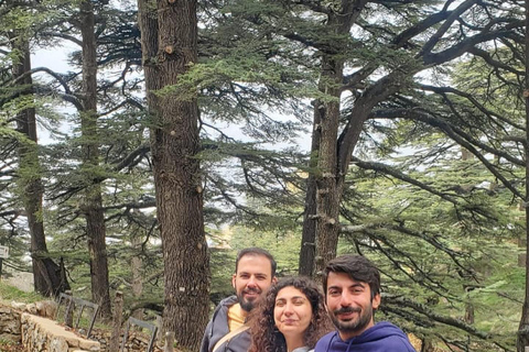 Cedars of God, Qadisha &amp; Gibran mit Abholung, Führer, Eintritt und MittagessenZedern Gottes, Qadisha Tal &amp; Gibran Museum Ticket