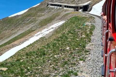 Zurich: Bernese Alps Tour with Lake Cruise & Steam Train Special Offer