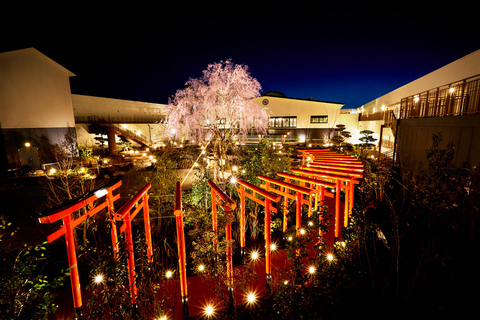 Osaka: Besök på Solaniwa Onsen Hot SpringEntrébiljett + Izakaya-måltid