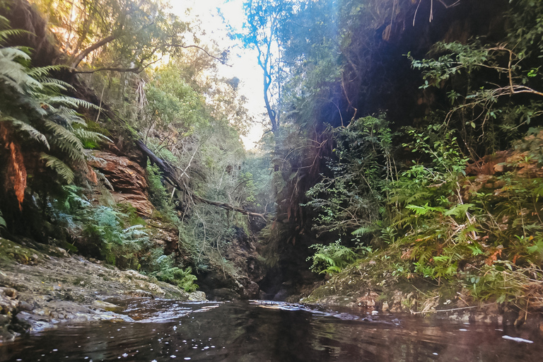 Plettenberg Bay: Canyoning Trip Plettenberg Bay: Standard Canyoning Trip