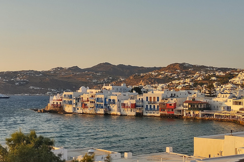 Mykonos: Delos and Rhenia Islands Cruise with Lunch
