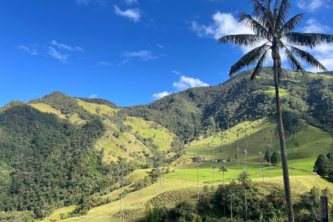 Desde Salento: Visita partilhada ao Vale de Cocora