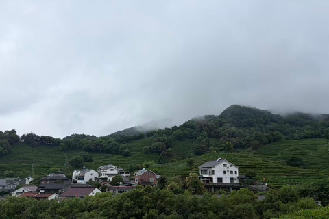 Hangzhou: Private Car Tour to Temple, Tea Village & Canal