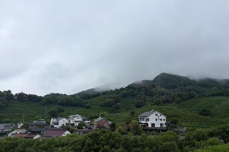 Hangzhou: Private Car Tour to Temple, Tea Village & Canal