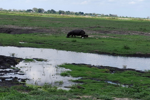 Tour guidato delle Cascate Vittoria e safari nel Parco Chobe