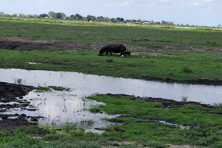 Tour guidato delle Cascate Vittoria e safari nel Parco Chobe