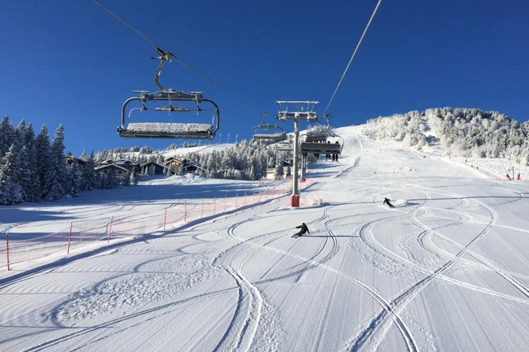 Desde Cannes o Niza: Excursión de un día a esquiar en los Alpes