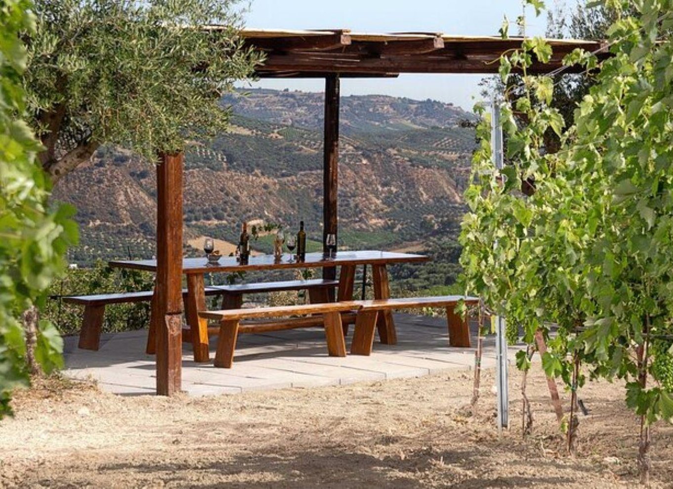 HERAKLION: Vinsmagning på Douloufakis Vineyards ARISMARI