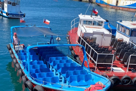 Valparaíso: Wycieczka po Lancha por la Bahía