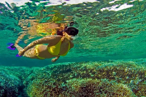 All Inclusive trincomalee: duiveneiland tour + snorkelen