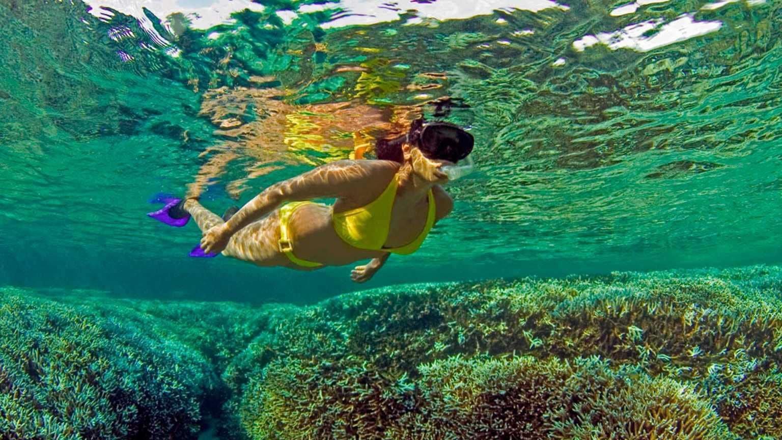 All Inclusive Trincomalee: Pigeon Island Tour + Schnorcheln