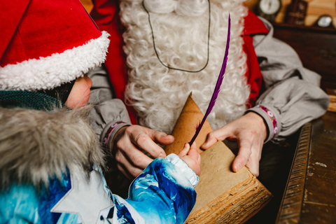 Levi：Arcandia，精灵法庭/日光和公园/黑暗精灵法庭：3 小时体验和公园之旅