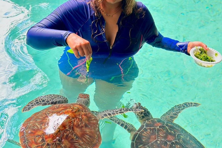 Nage avec les tortues à la grotte de Salaam et visite du restaurant The Rock