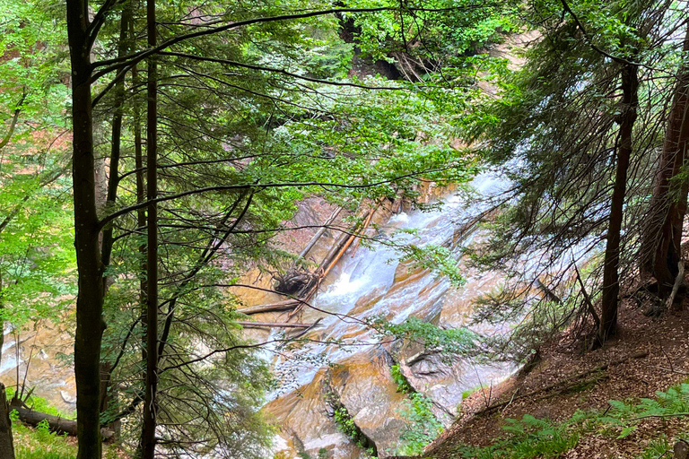 Watervallen Tour vanuit Sarajevo: Wandeling en Bosnische Lunch