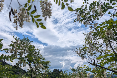 Vienna: Scenic Hiking Tour to Dürnstein/Wachau with Transfer