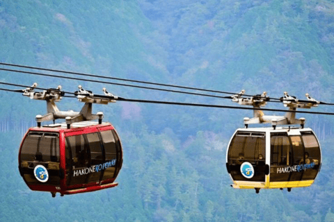 From Tokyo: Mount Fuji Full Day Customizable Private Tour