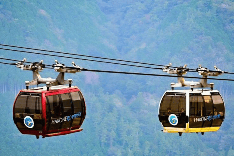 From Tokyo: Mount Fuji Full Day Customizable Private Tour