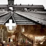 Cracovia: Auschwitz-Birkenau e Miniera di Sale Tour guidato di un giorno intero