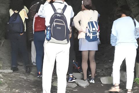 جولة ليوم واحد في قبيلة أتايال الثقافية من تايبيه (رحلة خاصة)يوم قبيلة أتايال الثقافي من تايبيه/صنا