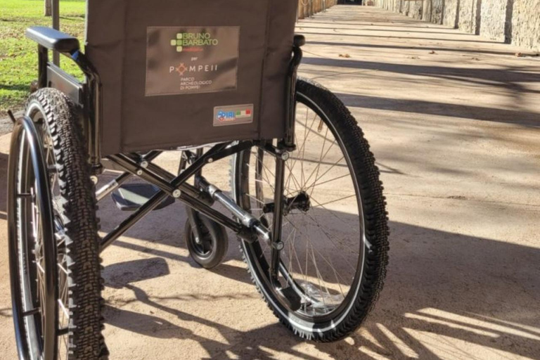 Pompeii: Wheelchair-accessible Private Tour with a Guide Private Van Transfer from Naples, Guide and Tickets