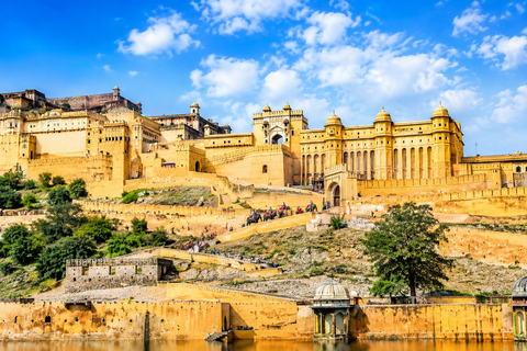 Jaipur, Jodhpur or Jaisalmer Multi-Day Trip with Safari