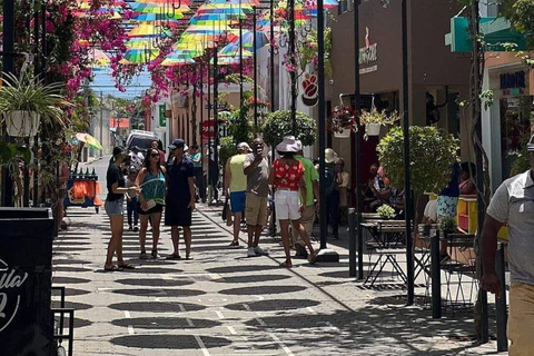 Puerto Plata: Small-Group City Tour with 2 Factory Visits