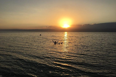 Visita a la ciudad de Ammán y excursión de un día al Mar MuertoVisita a la ciudad de Ammán y Mar Muerto Excursión de un día en minibús 10 pax