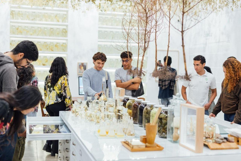 Medellin: Access Ticket to the Museum of Modern Art of Medellin